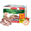 Terezia Hliva ustricová + lactobacily 60+60 kapsúl akcia 1+1