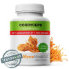 Mycomedica Cordyceps 50% 90 vegan rastlinných kapsúl