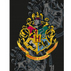 Prikrývka na posteľ - Halantex fleece 170 x 130 cm čierny, viacnásobný (Deka mládeže 130x170 Harry Potter Rokfort)