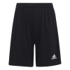 Junior tréningové šortky ADIDAS ENT22 SHO Y H57502 176