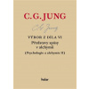 Výbor z díla VI - Carl Gustav Jung