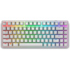 Dell Alienware Pro Wireless Gaming Keyboard 545-BBFR