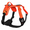 Non-stop Dogwear Postroj Ramble
