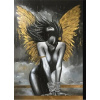 Diamantový obrázek - dáma se zlatými křídly 30 x 40 cm