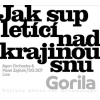 Agon Orchestra & Pavel Zajíček & DG 307 : Jak sup letící nad krajinou snu - Agon Orchestra, DG 307, Pavel Zajíček