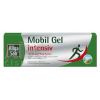 Dr. Theiss Naturwaren GmbH Allga San Mobil Gel Intensiv 1x100 ml 100 ml