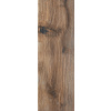 Ceramika Gres Alberon ALR 04 brown gresová dlažba 20 x 60 cm