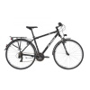 Kellys ALPINA ECO T10 Grey 28