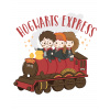 ZUTY Maľovanie podľa čísel - ROKFORTSKÝ EXPRES (HARRY POTTER) Rámovanie: vypnuté plátno na rám, Rozmer: 40x50 cm