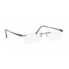 Silhouette Racing SL 5502 6560