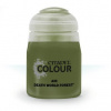 GW Citadel Air: Deathworld Forest 24ml