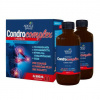 Adele Davis CONDROCOMPLEX Lipomozálna kĺbová výživa 2x 500 ml