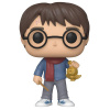 POP! Harry Potter (Harry Potter Holiday) POP-0122