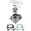 RMS valec sada 100080720 52,4mm