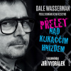 Audiokniha: Wasserman Dale a Ken Kesey • Přelet nad kukaččím hnízdem / Čte Jiří Vyorálek a další (MP3-CD)