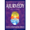 Základní kniha Ájurvédy - Robert E. Svoboda
