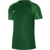 Nike Academy Jr DH8369 302