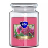 Bispol aura Peony 500g