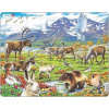 Puzzle Flóra a fauna arktickej tundry 50 dielikov