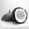 Black Coconut - vonný olej na výrobu sviečok (Čierny kokos - vôňa do vosku)
