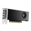 Dell NVIDIA® RTX™ 2000 Ada Generation, 16 GB GDDR6, half height, PCIe 4.0 x 8, 4 mDP Graphics Card (490-BKLT)