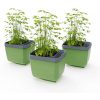 Gusta Garden Herbs Buddy samozavlažovací kvetináč zelený, 3ks GG-122F11