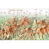 nástenná mapa Veľká Fatra XL 110x160cm panoramatická lamino, lišty (z edície 