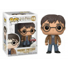 Funko POP! Harry Potter Harry with 2 Wands Exclusive