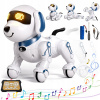 ROBOT S OVLÁDAČOM INTERAKTÍVNY TANCUJE CHODÍ SPIEVA HRAJE HUDBU