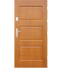 Archo - Vonkajšie vchodové drevené dvere Doskové DP-16