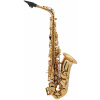 ARNOLDS & SONS AAS-301 Terra