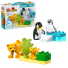 LEGO® DUPLO® 10442 Rodinky divokých zvierat: Tučniaky a levy