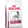 Royal Canin VD Dog Renal Select 10 kg