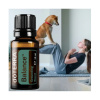 DoTerra Esenciálny olej Balance® - uzemňovacia zmes 15ml-ihneď