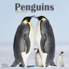 Penguins, 30,5 x 30,5 30,5 x 61 cm 2026