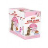 ROYAL CANIN Kitten Sterilised kapsičky pre sterilizované mačiatka 12x 85 g