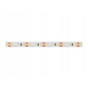 LED linková páska 600 SMD2216 12V 6500K 9,6 W IP65 (LED linková páska 600 SMD2216 12V 6500K 9,6 W IP65)