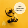 Audiokniha: Obeť spovedného tajomstva - Čo všetko ste ochotní obetovať, aby ste zostali verní Božím príkazom?