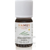Hanus - Bylinné prípravky HANUS SILICA KOSODREVINA - 1x10 ml