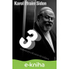 E-kniha Tři rozhovory - Karol Efraim Sidon