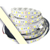 HurtLED Páska 300 LED 5050 teplá biela PREM.