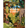 Do pohádky se zvířátky - Havelková Kamila a kolektiv, Julia Haynaliy
