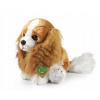Eco-Friendly pes gavalier King Charles španiel 28 cm