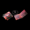 The Rolling Stones - Hackney Diamonds (Limited Edition) (CD)