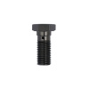 TRW Banjo Bolt titánový eloxovaný M10x1,25