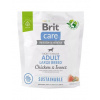 Brit care dog sustainable adult large breed chicken insect granule pre dospelých psov veľkých plemien 1 kg