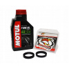 OLEJOVÉ TESNIACE PROSTRIEDKY PRE LAG MOTUL HAYABUSA GSXR1300 GSR600 GSX1300 B-KING GSX