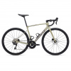 Giant Defy Advanced 2 Bay Leaf - 56 cm