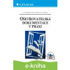 E-kniha Ošetřovatelská dokumentace v praxi - Lubomír Vondráček, Miloslav Ludvík, Jana Nováková