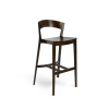 PAGED Archer H-4800 Seat Wood Back Wood Farba dreva: buk morený, Čalúnenie: dyha